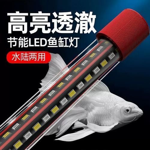 龍魚照明專用燈的價(jià)格范圍是多少？，龍魚照明專用燈價(jià)格范圍是多少？ 龍魚照明專用燈的價(jià)格范圍是多少？，龍魚照明專用燈價(jià)格范圍是多少？ 龍魚百科 第5張