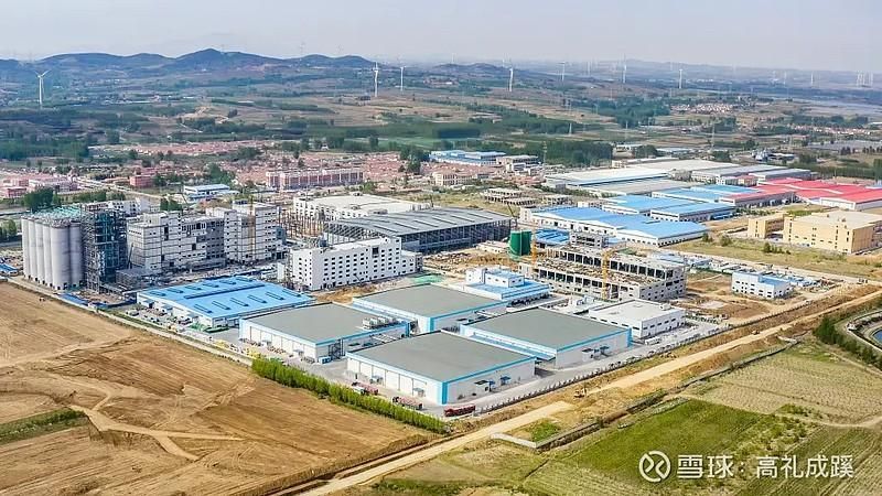 金龍魚山東基地的產能如何？，金龍魚山東基地產能分析 金龍魚山東基地的產能如何？，金龍魚山東基地產能分析 龍魚百科 第2張