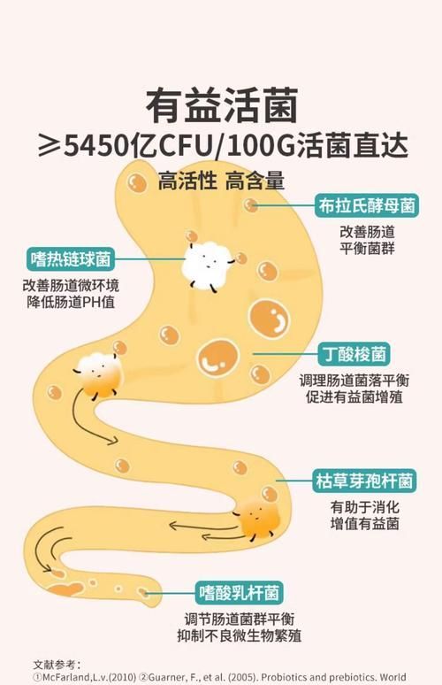 益生菌在腸炎預防中的作用，益生菌在腸炎預防中的作用機制 益生菌在腸炎預防中的作用，益生菌在腸炎預防中的作用機制 龍魚百科 第6張