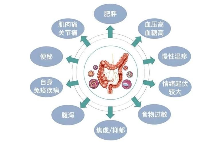 益生菌在腸炎預防中的作用，益生菌在腸炎預防中的作用機制 益生菌在腸炎預防中的作用，益生菌在腸炎預防中的作用機制 龍魚百科 第5張