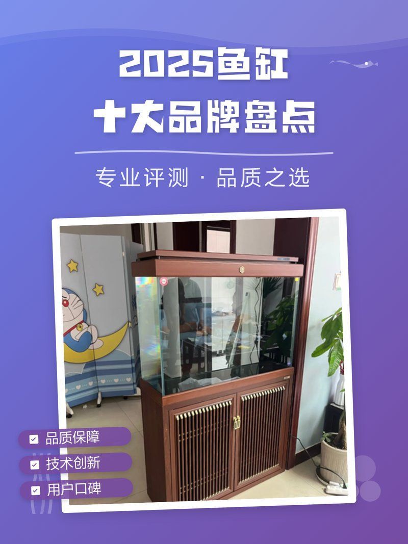 龍魚專用缸排名前十名有哪些品牌？，龍魚專用缸十大品牌 龍魚專用缸排名前十名有哪些品牌？，龍魚專用缸十大品牌 龍魚百科 第7張