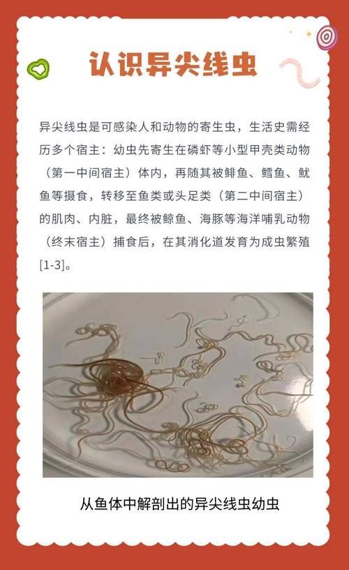 如何預防異尖線蟲感染,如何預防異尖線蟲感染(arxiv論文助手”預防異尖線蟲感染 龍魚百科 第4張 如何預防異尖線蟲感染,如何預防異尖線蟲感染(arxiv論文助手”預防異尖線蟲感染 如何預防異尖線蟲感染,如何預防異尖線蟲感染(arxiv論文助手”預防異尖線蟲感染 龍魚百科 第4張