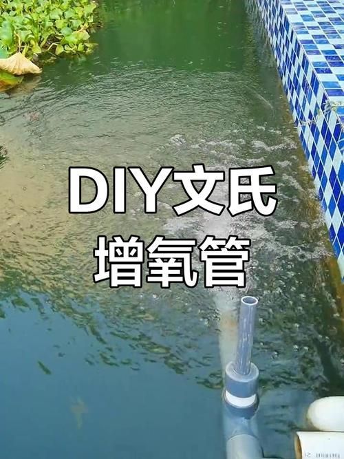 如何改善魚缸中的溶氧量？，如何改善魚缸中的溶氧量 如何改善魚缸中的溶氧量？，如何改善魚缸中的溶氧量 龍魚百科 第4張