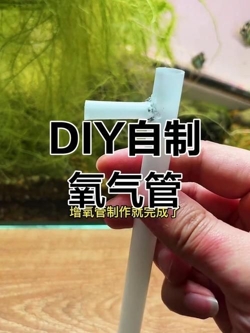 如何改善魚缸中的溶氧量？，如何改善魚缸中的溶氧量 如何改善魚缸中的溶氧量？，如何改善魚缸中的溶氧量 龍魚百科 第6張