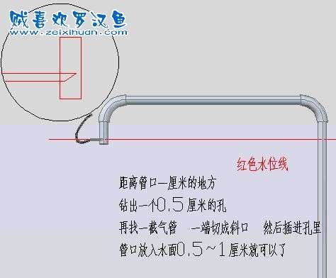 如何改善魚缸中的溶氧量？，如何改善魚缸中的溶氧量 如何改善魚缸中的溶氧量？，如何改善魚缸中的溶氧量 龍魚百科 第5張