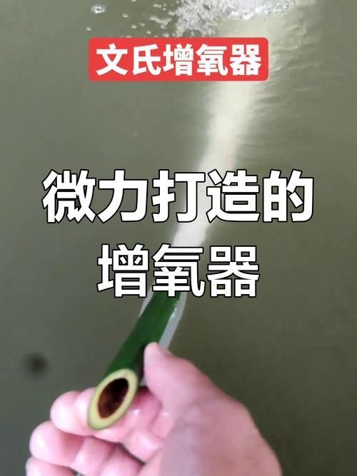 如何改善魚缸中的溶氧量？，如何改善魚缸中的溶氧量 如何改善魚缸中的溶氧量？，如何改善魚缸中的溶氧量 龍魚百科 第3張