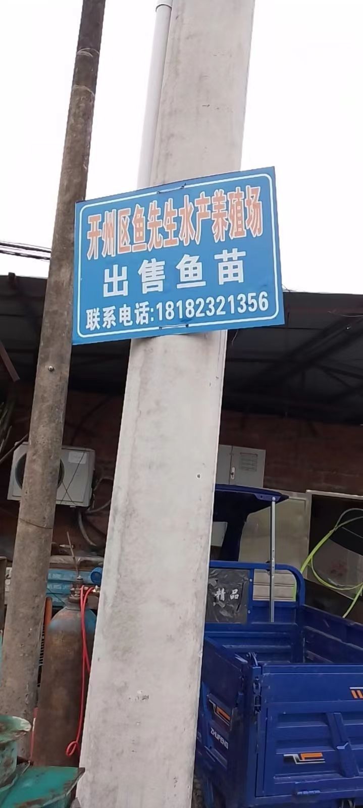 開州區(qū)有哪些龍魚養(yǎng)殖場？，開州區(qū)冷水魚養(yǎng)殖場名稱和詳細(xì)的養(yǎng)殖場名稱和詳細(xì)信息 開州區(qū)有哪些龍魚養(yǎng)殖場？，開州區(qū)冷水魚養(yǎng)殖場名稱和詳細(xì)的養(yǎng)殖場名稱和詳細(xì)信息 龍魚百科 第1張