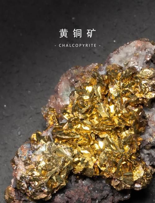 給我一些關(guān)于鷹手營(yíng)子礦龍魚的信息，“鷹手營(yíng)子礦龍魚（鷹手營(yíng)子礦龍魚”是真實(shí)存在的生物化石 給我一些關(guān)于鷹手營(yíng)子礦龍魚的信息，“鷹手營(yíng)子礦龍魚（鷹手營(yíng)子礦龍魚”是真實(shí)存在的生物化石 龍魚百科 第12張