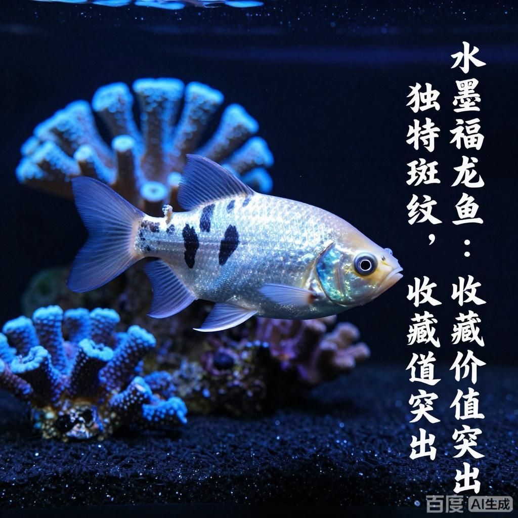 詳解福龍魚的各種顏色及其價值，福龍魚的價格范圍是多少福龍魚的各種顏色及其價值 詳解福龍魚的各種顏色及其價值，福龍魚的價格范圍是多少福龍魚的各種顏色及其價值 龍魚百科 第3張