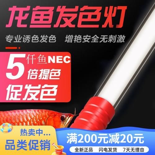 如何正確安裝nec龍魚專用燈？ 如何正確安裝nec龍魚專用燈？ 龍魚百科 第4張