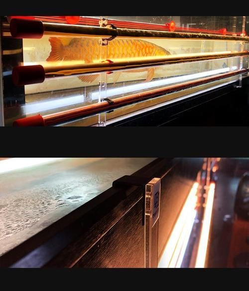 如何正確安裝nec龍魚專用燈？ 如何正確安裝nec龍魚專用燈？ 龍魚百科 第5張