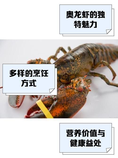 紅龍與澳龍的營養價值,澳洲龍蝦南橙挑水果,如何區分澳龍和紅龍哪個更受歡迎 龍魚百科 第2張 紅龍與澳龍的營養價值,澳洲龍蝦南橙挑水果,如何區分澳龍和紅龍哪個更受歡迎 紅龍與澳龍的營養價值,澳洲龍蝦南橙挑水果,如何區分澳龍和紅龍哪個更受歡迎 龍魚百科 第2張
