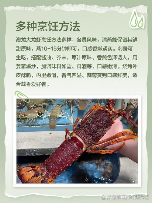 紅龍與澳龍的營養價值,澳洲龍蝦南橙挑水果,如何區分澳龍和紅龍哪個更受歡迎 龍魚百科 第4張 紅龍與澳龍的營養價值,澳洲龍蝦南橙挑水果,如何區分澳龍和紅龍哪個更受歡迎 紅龍與澳龍的營養價值,澳洲龍蝦南橙挑水果,如何區分澳龍和紅龍哪個更受歡迎 龍魚百科 第4張