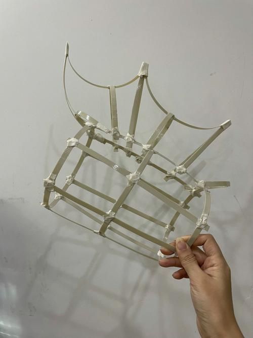 東城龍魚燈如何制作?,東城龍魚燈制作過程 龍魚百科 第2張 東城龍魚燈如何制作?,東城龍魚燈制作過程 東城龍魚燈如何制作?,東城龍魚燈制作過程 龍魚百科 第2張