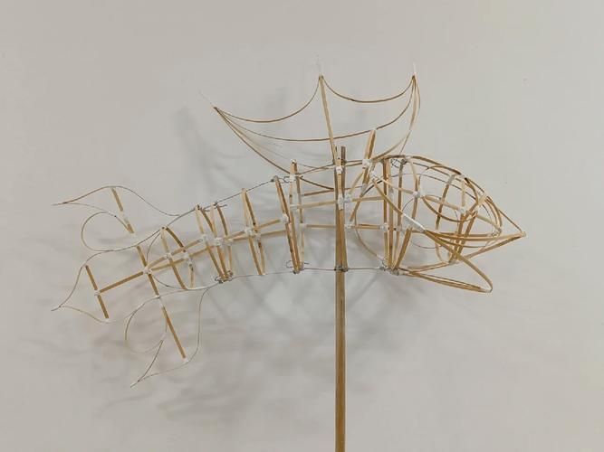 東城龍魚燈如何制作?,東城龍魚燈制作過程 龍魚百科 第4張 東城龍魚燈如何制作?,東城龍魚燈制作過程 東城龍魚燈如何制作?,東城龍魚燈制作過程 龍魚百科 第4張