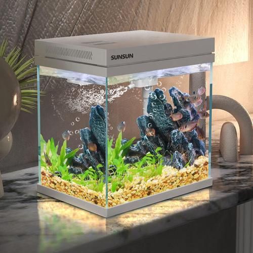 有哪些品牌的紅龍魚設備推薦，紅龍魚設備品牌推薦思考完成，紅龍魚設備推薦思考完成 有哪些品牌的紅龍魚設備推薦，紅龍魚設備品牌推薦思考完成，紅龍魚設備推薦思考完成 龍魚百科 第3張