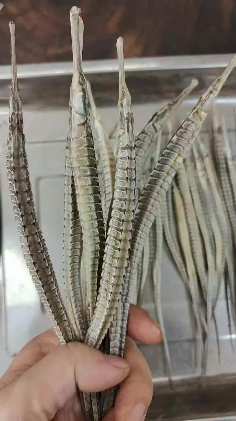 如何挑選高質量的海龍魚干？，如何挑選高質量海龍魚干？ 如何挑選高質量的海龍魚干？，如何挑選高質量海龍魚干？ 龍魚百科 第6張