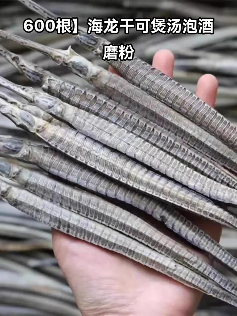 如何挑選高質量的海龍魚干？，如何挑選高質量海龍魚干？ 如何挑選高質量的海龍魚干？，如何挑選高質量海龍魚干？ 龍魚百科 第3張