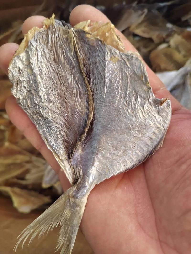 如何挑選高質量的海龍魚干？，如何挑選高質量海龍魚干？ 如何挑選高質量的海龍魚干？，如何挑選高質量海龍魚干？ 龍魚百科 第5張