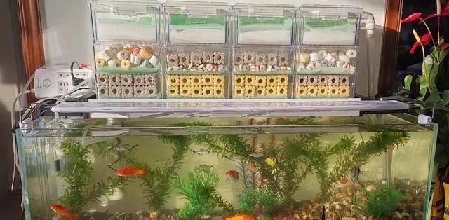 如何選擇適合的魚缸過濾系統，選擇適合的魚缸過濾系統是確保水質清潔和魚兒健康的關鍵