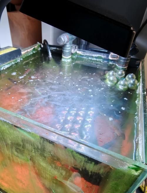 如何判斷魚缸底部白色膜是否為菌膜?,如何判斷魚缸底部白色膜是否為菌膜(1000字并配圖) 龍魚百科 第2張 如何判斷魚缸底部白色膜是否為菌膜?,如何判斷魚缸底部白色膜是否為菌膜(1000字并配圖) 如何判斷魚缸底部白色膜是否為菌膜?,如何判斷魚缸底部白色膜是否為菌膜(1000字并配圖) 龍魚百科 第2張