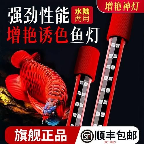 推薦一些紅龍發色DIY工具,紅龍發色diy工具 龍魚百科 第2張 推薦一些紅龍發色DIY工具,紅龍發色diy工具 推薦一些紅龍發色DIY工具,紅龍發色diy工具 龍魚百科 第2張