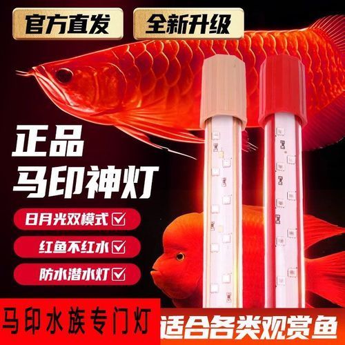 推薦一些紅龍發色DIY工具,紅龍發色diy工具 龍魚百科 第4張 推薦一些紅龍發色DIY工具,紅龍發色diy工具 推薦一些紅龍發色DIY工具,紅龍發色diy工具 龍魚百科 第4張
