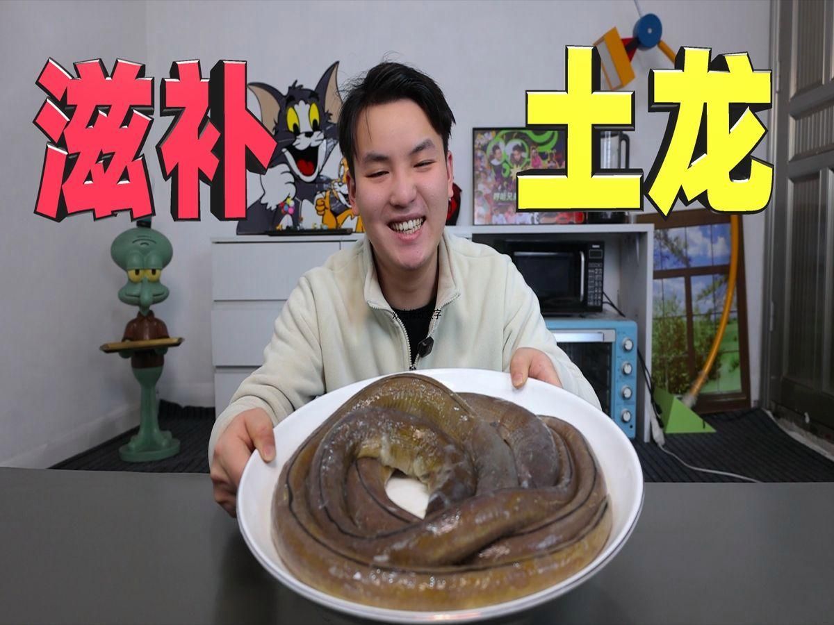 土龍魚有哪些功效，土龍魚有哪些功效？ 土龍魚有哪些功效，土龍魚有哪些功效？ 龍魚百科 第3張