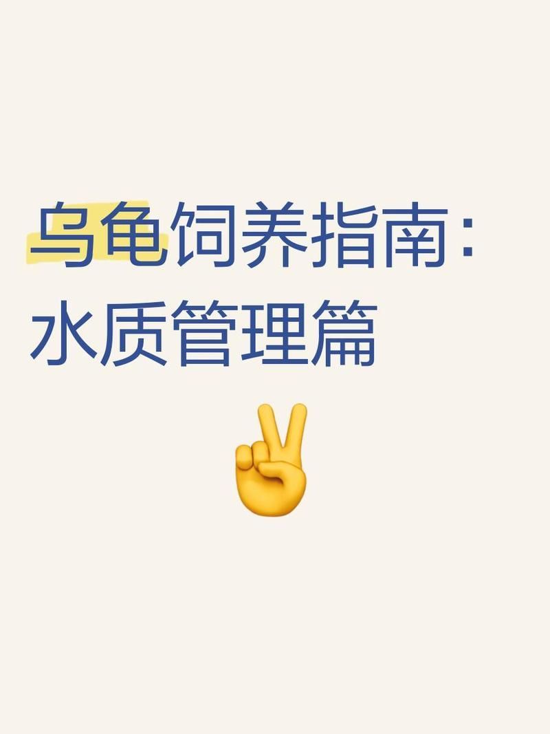 龍龜多久換一次水，龍龜換水頻率取決于多種因素， 龍龜多久換一次水，龍龜換水頻率取決于多種因素， 龍魚百科 第2張