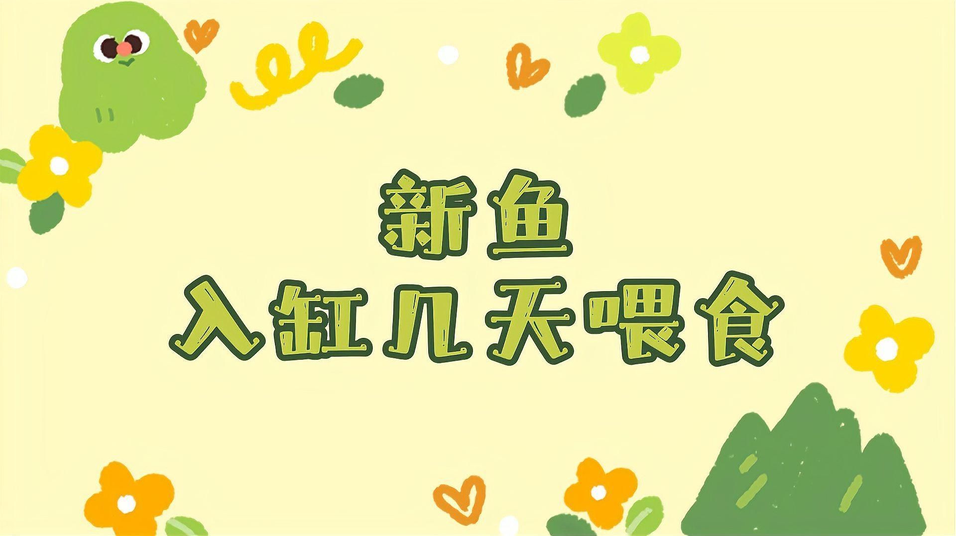 換缸后多久喂食合適，新魚入缸后多久喂食合適， 換缸后多久喂食合適，新魚入缸后多久喂食合適， 龍魚百科 第2張