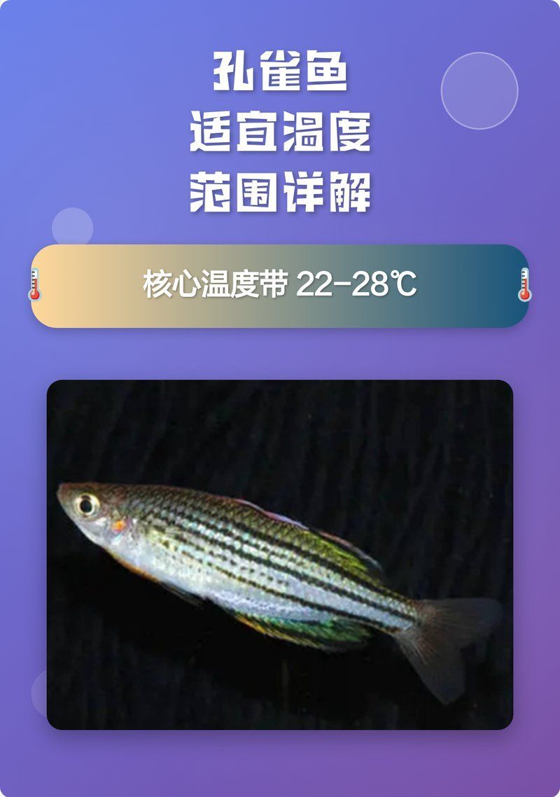 如何維持孔雀魚水溫穩(wěn)定，如何維持孔雀魚的水溫穩(wěn)定 如何維持孔雀魚水溫穩(wěn)定，如何維持孔雀魚的水溫穩(wěn)定 龍魚百科 第2張
