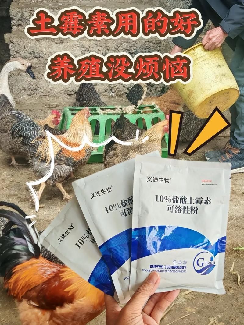 哪些藥物對龍魚副作用較小，關于龍魚用藥安全問題 哪些藥物對龍魚副作用較小，關于龍魚用藥安全問題 龍魚百科 第10張