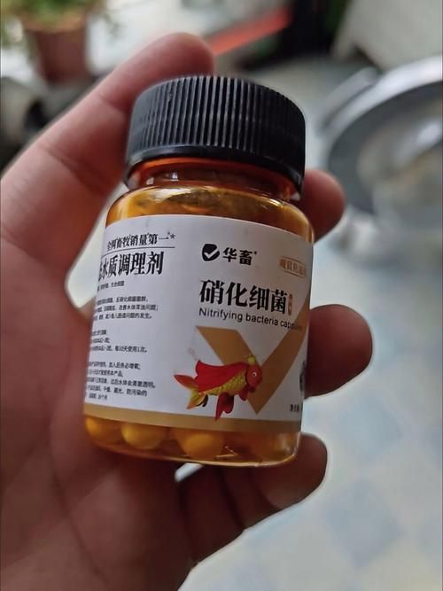 哪些藥物對龍魚副作用較小，關于龍魚用藥安全問題 哪些藥物對龍魚副作用較小，關于龍魚用藥安全問題 龍魚百科 第11張