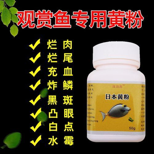 哪些藥物對龍魚副作用較小，關于龍魚用藥安全問題 哪些藥物對龍魚副作用較小，關于龍魚用藥安全問題 龍魚百科 第15張