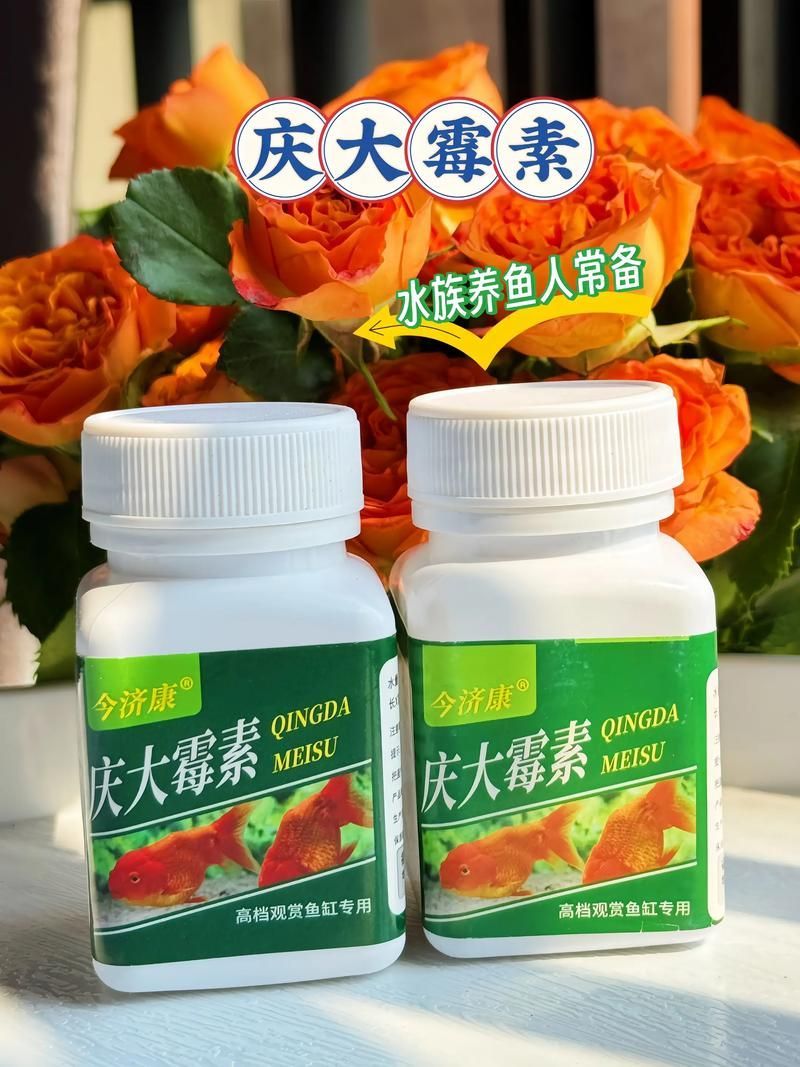 哪些藥物對龍魚副作用較小，關于龍魚用藥安全問題 哪些藥物對龍魚副作用較小，關于龍魚用藥安全問題 龍魚百科 第6張