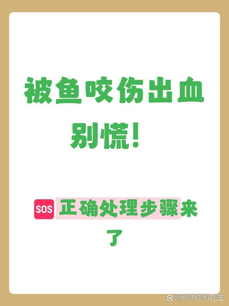 被魚咬了需要打針嗎，被魚咬了需要打針嗎專家明確指出魚類傳播狂犬病例 被魚咬了需要打針嗎，被魚咬了需要打針嗎專家明確指出魚類傳播狂犬病例 龍魚百科 第1張