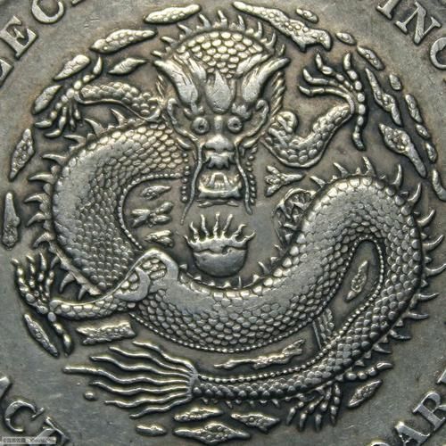 四角龍圖片，關于四角龍的知識 四角龍圖片，關于四角龍的知識 龍魚百科 第7張
