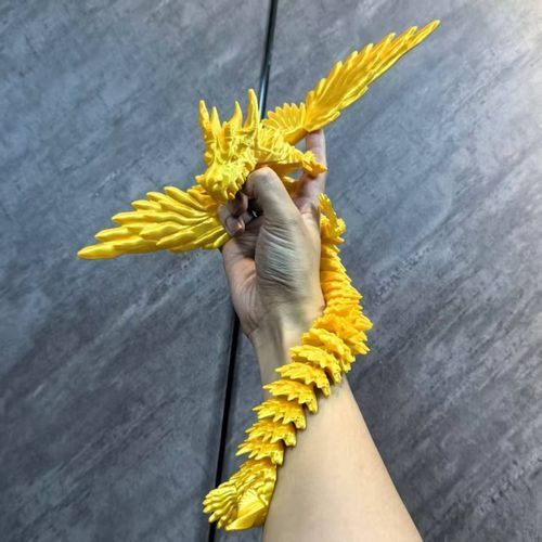 四角龍圖片，關于四角龍的知識 四角龍圖片，關于四角龍的知識 龍魚百科 第10張