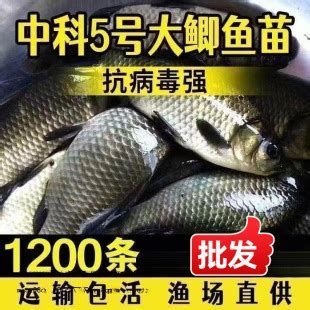 養殖場魚苗批發