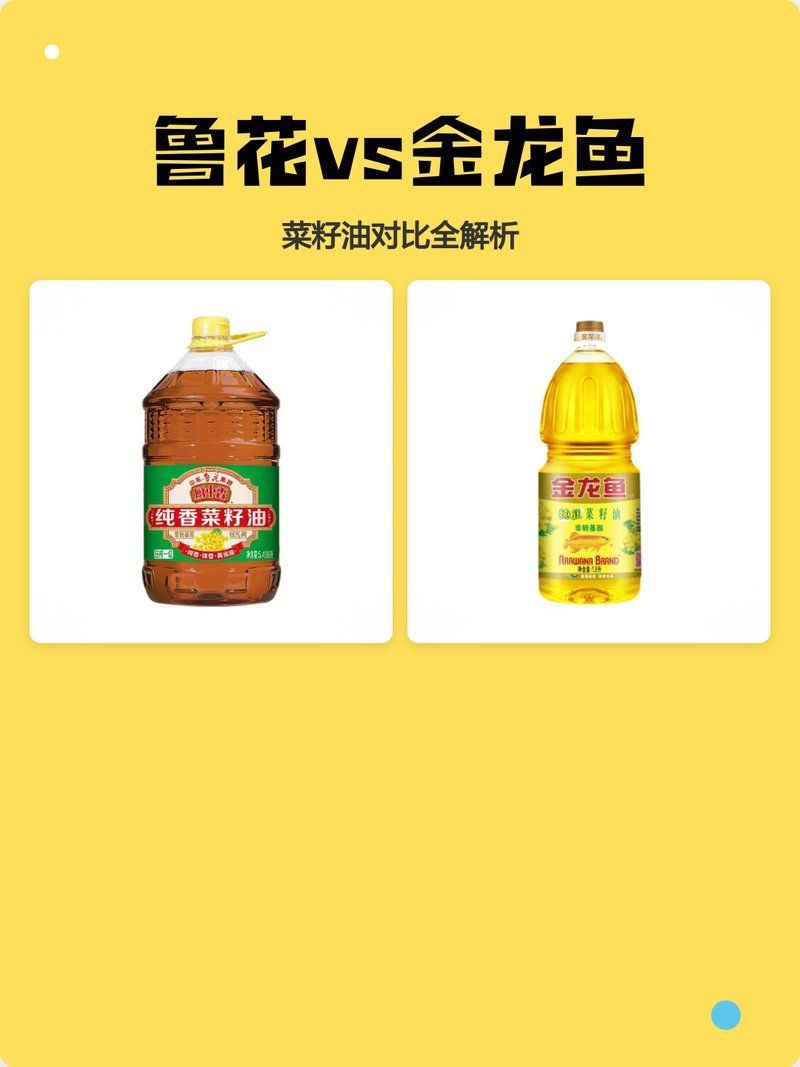 金龍魚和魯花哪個更適合兒童食用，金龍魚和魯花哪個更適合兒童食用金龍魚和魯花哪個更受歡迎 金龍魚和魯花哪個更適合兒童食用，金龍魚和魯花哪個更適合兒童食用金龍魚和魯花哪個更受歡迎 龍魚百科 第2張