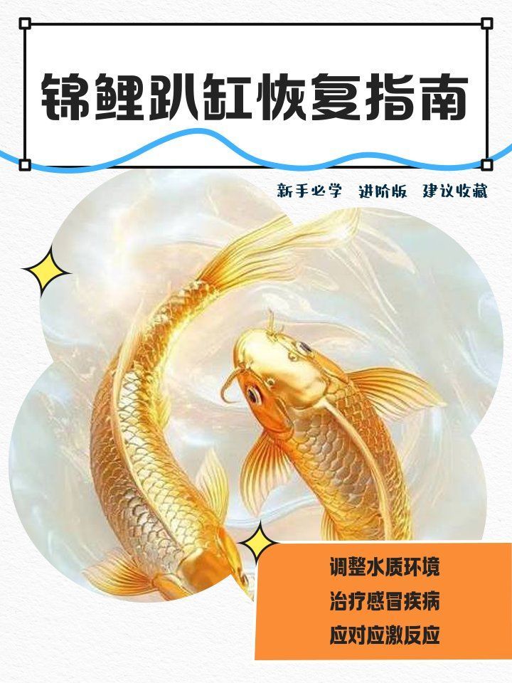 錦鯉趴缸多久會死，錦鯉趴缸多久會死, 錦鯉趴缸多久會死，錦鯉趴缸多久會死, 龍魚百科 第1張
