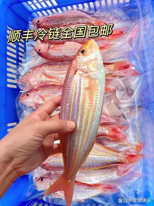 紅魔王銀版魚，“紅魔王銀版魚”
