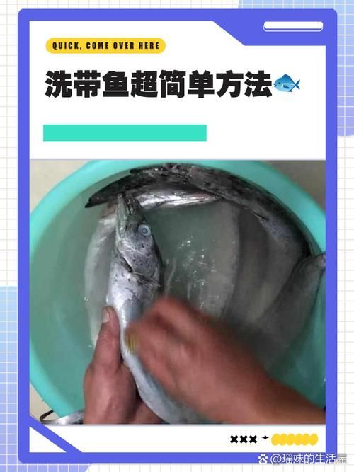 給我一些安全處理魚的圖片示例 龍魚百科 第4張 給我一些安全處理魚的圖片示例 給我一些安全處理魚的圖片示例 龍魚百科 第4張