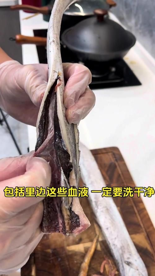 給我一些安全處理魚的圖片示例 龍魚百科 第15張 給我一些安全處理魚的圖片示例 給我一些安全處理魚的圖片示例 龍魚百科 第15張