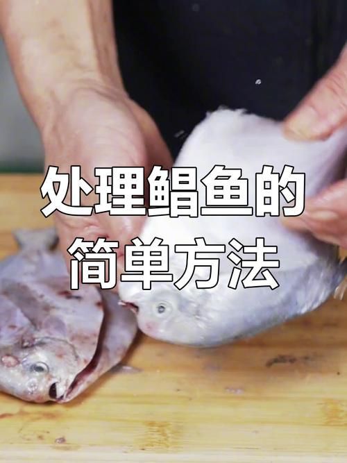 給我一些安全處理魚的圖片示例 龍魚百科 第3張 給我一些安全處理魚的圖片示例 給我一些安全處理魚的圖片示例 龍魚百科 第3張