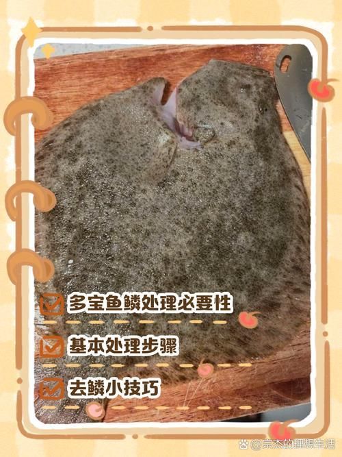給我一些安全處理魚的圖片示例 龍魚百科 第16張 給我一些安全處理魚的圖片示例 給我一些安全處理魚的圖片示例 龍魚百科 第16張