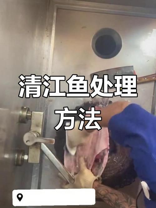 給我一些安全處理魚的圖片示例 龍魚百科 第6張 給我一些安全處理魚的圖片示例 給我一些安全處理魚的圖片示例 龍魚百科 第6張