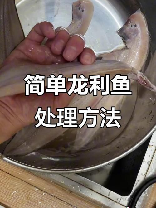 給我一些安全處理魚的圖片示例 龍魚百科 第13張 給我一些安全處理魚的圖片示例 給我一些安全處理魚的圖片示例 龍魚百科 第13張
