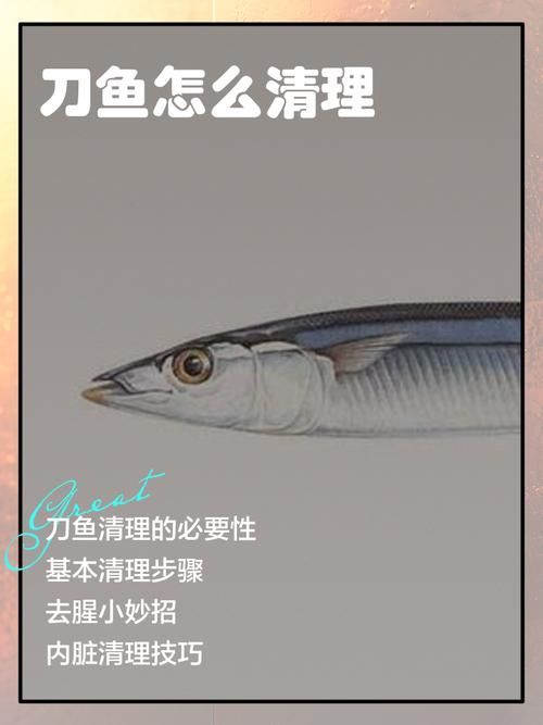給我一些安全處理魚的圖片示例 龍魚百科 第2張 給我一些安全處理魚的圖片示例 給我一些安全處理魚的圖片示例 龍魚百科 第2張