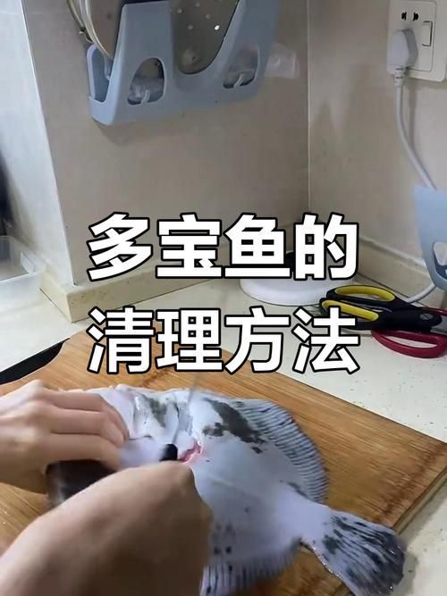 給我一些安全處理魚的圖片示例 龍魚百科 第14張 給我一些安全處理魚的圖片示例 給我一些安全處理魚的圖片示例 龍魚百科 第14張